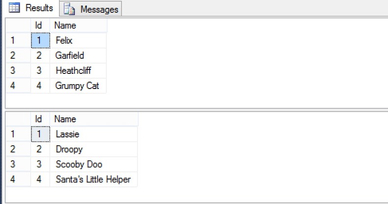 SQL Server Managment Studio Results