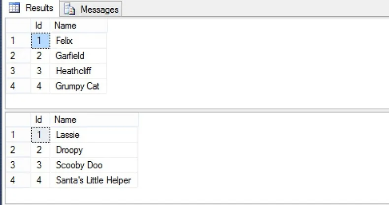 SQL Server Managment Studio Results
