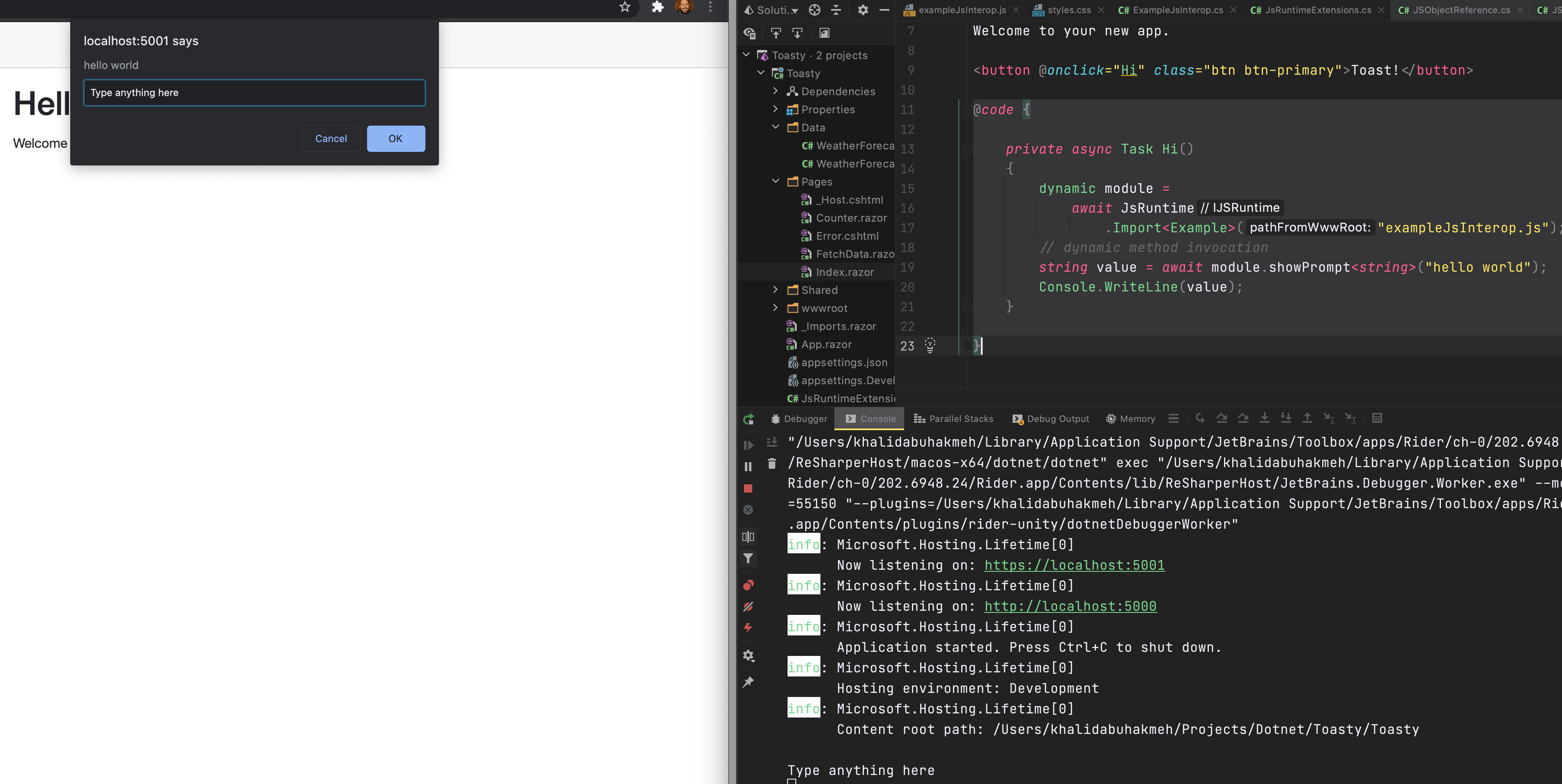 blazor app running with dynamic javascript module