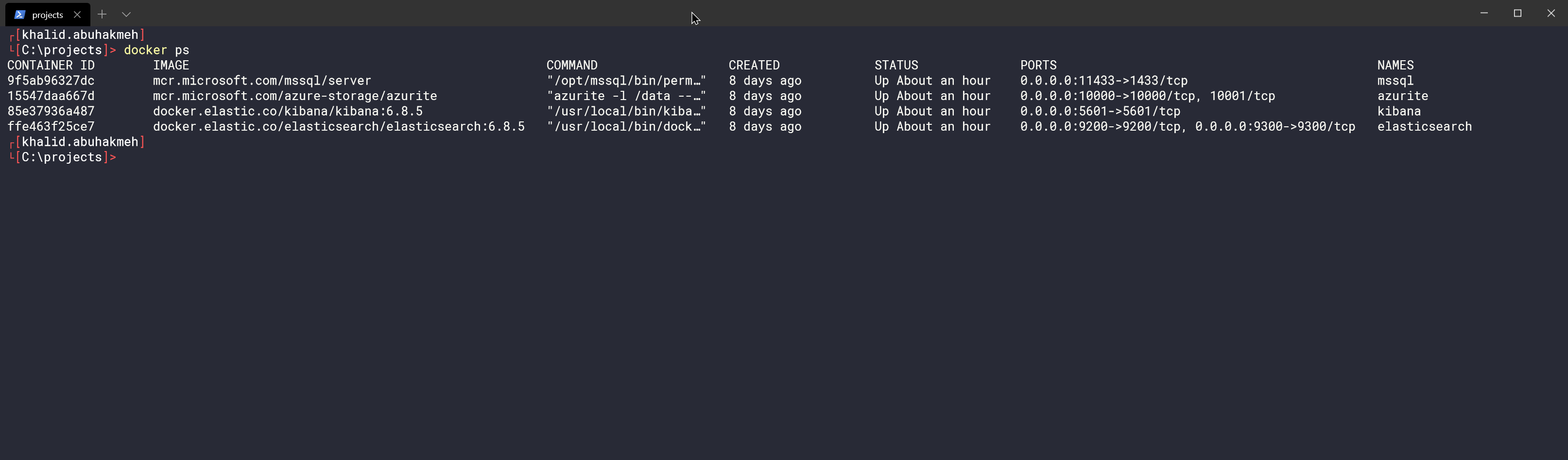 results of docker ps