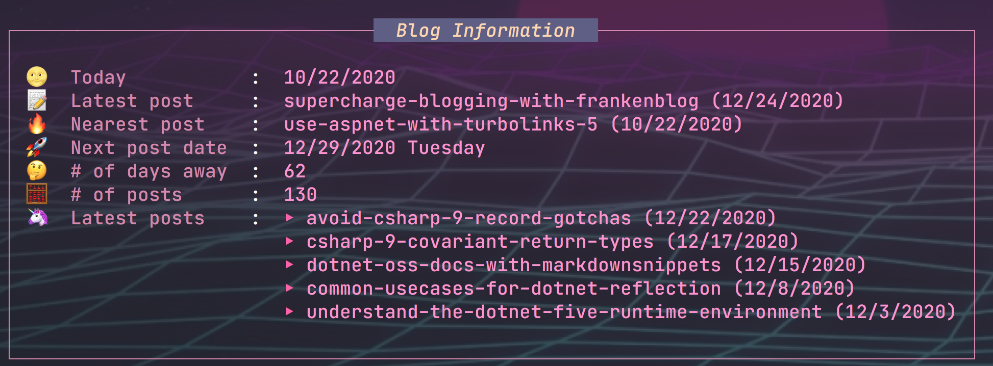 dotnet run info output of pretty box