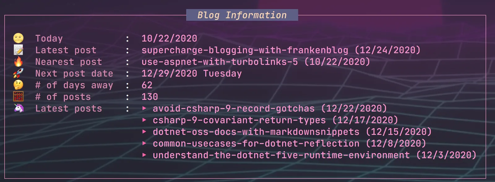 dotnet run info output of pretty box