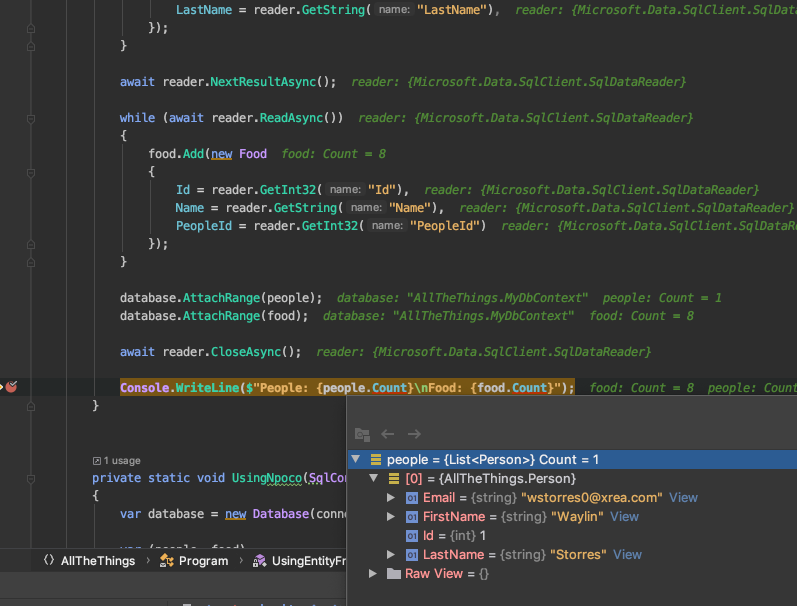 entity framework results in jetbrains rider