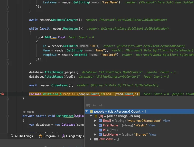 entity framework results in jetbrains rider