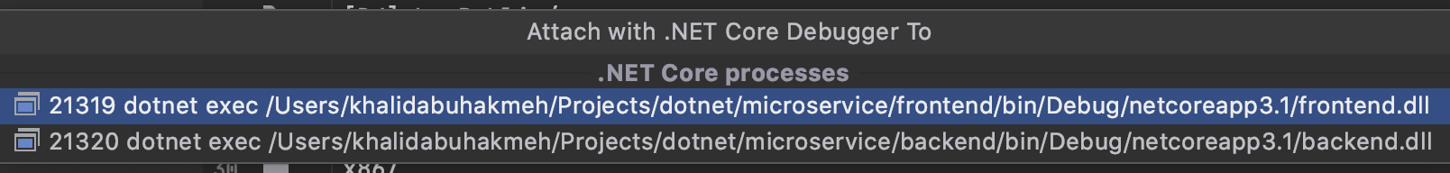 JetBrains Rider attach