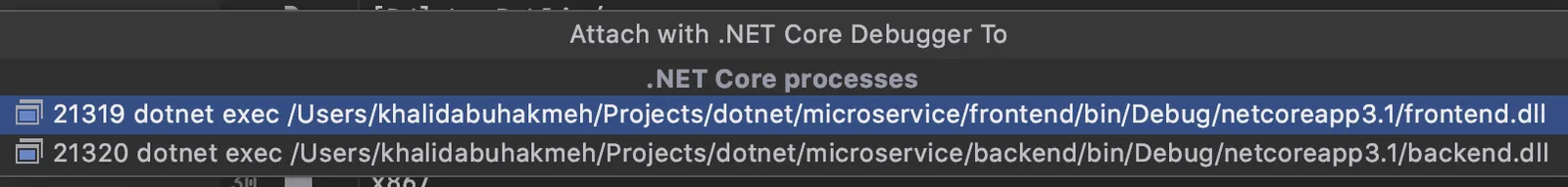 JetBrains Rider attach