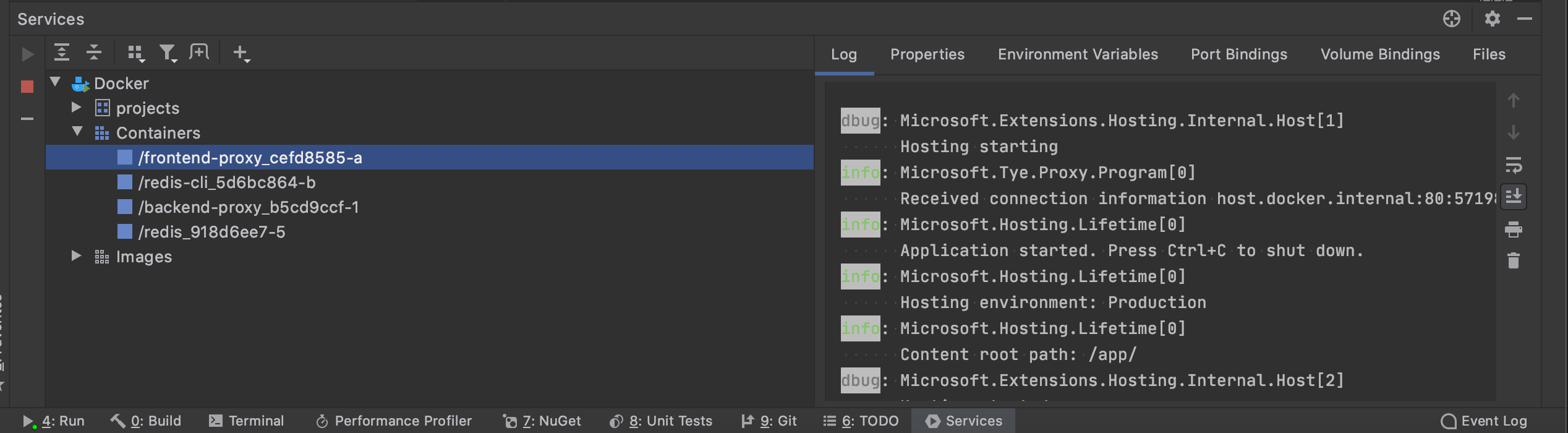 JetBrains Rider services window