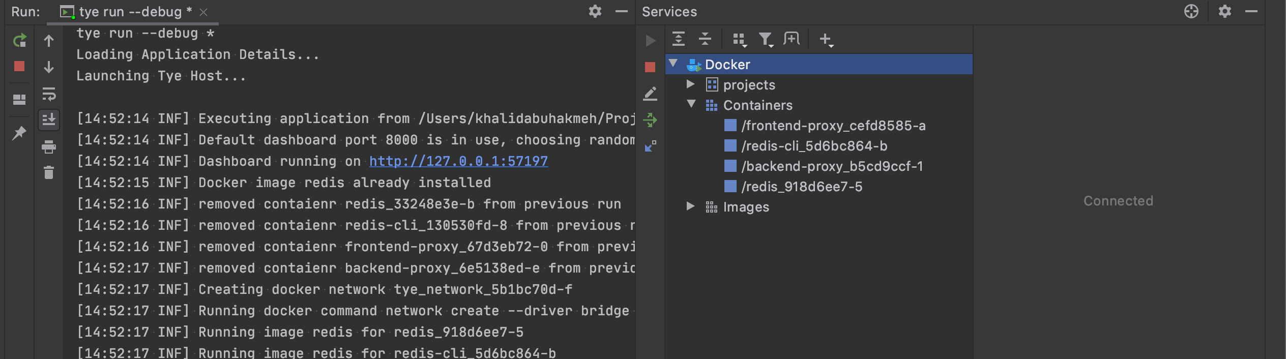 JetBrains Rider Services and Run