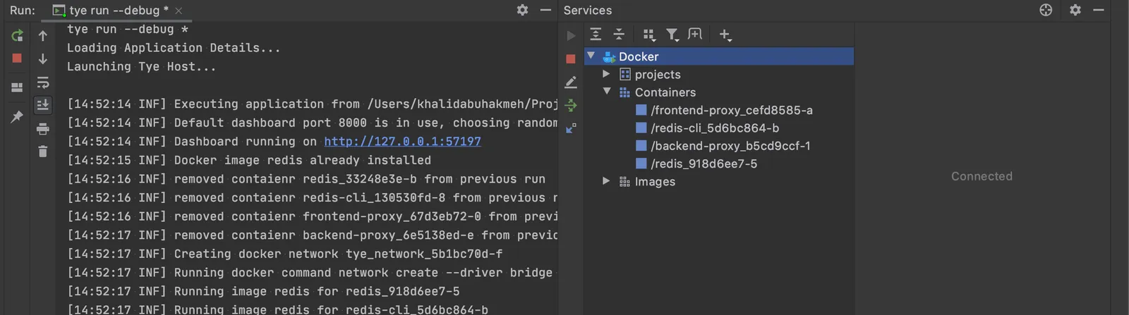 JetBrains Rider Services and Run