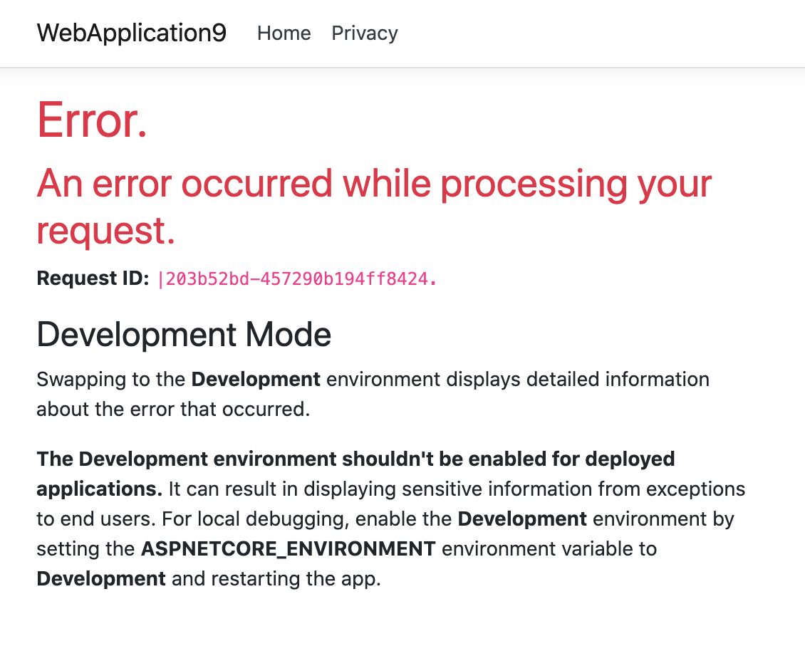 error page in razor pages