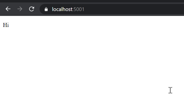 dotnet watch run web result