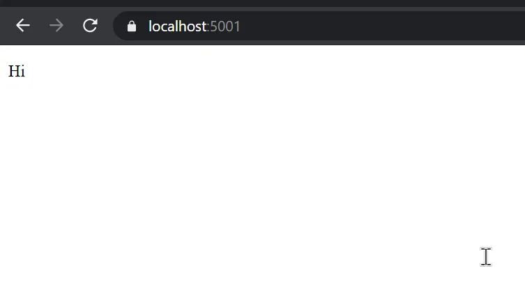 dotnet watch run web result