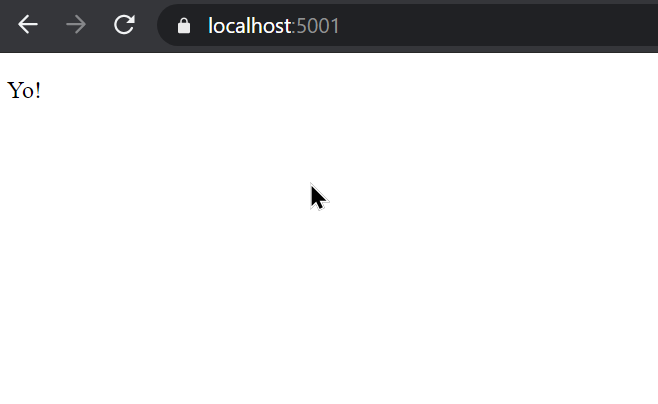 dotnet watch run web result