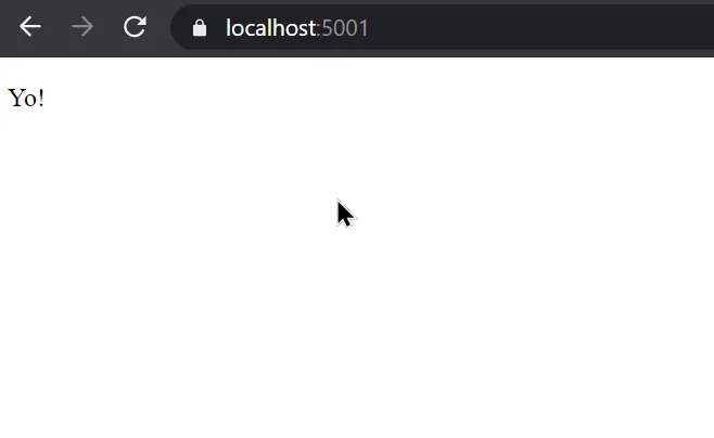 dotnet watch run web result